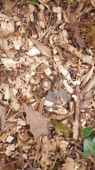 Pelaamo Pokeri: Kuinka Pelata Ja Nauttia Suomalaisista Pokerisivustoista