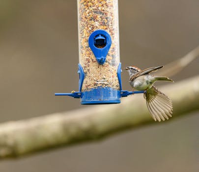 Asunnon Ostaminen ASP-lainan Avulla: Puolet Asunnosta Lainaan | Finanssialan Näkökulma