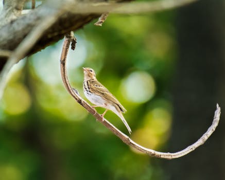 Nordea ASP Maksimi: Miten Asuntolaina- Ja Säästötavoitteet Toteutuvat Suomessa
