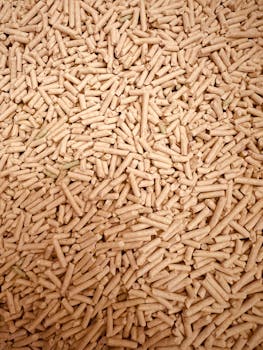 Talleta 10 Pelaa 60 - Nappaa Parhaat Kasinotarjoukset Ja Bonukset Suomalaisille