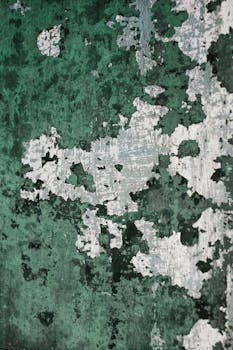 Luottotiedottomalle Opintolaina: Mahdollisuudet Ja Huomioon Otettavat Seikat