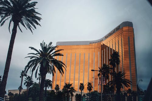 Casino image