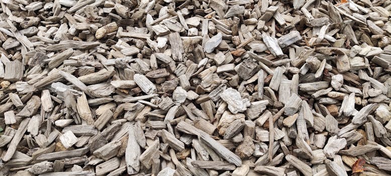 Kolikko Pelit: Parhaat Slotit Ja Kasinovinkit Suomessa 2026