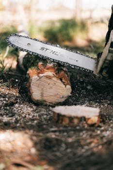 20 000 Laina: Visa Ja Edulliset Laina- Ja Kasino-aiheiset Ratkaisut