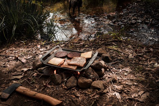 Coolbet Ilmaiskierrokset – Parhaat Tarjoukset Ja Kokemukset Suomalaispelaajille