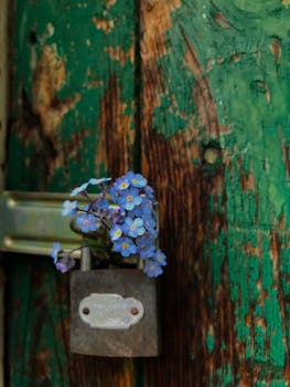 Casinohuone Bonuskoodi – Parhaat Tarjoukset Ja Vinkit Suomalaisille Pelaajille