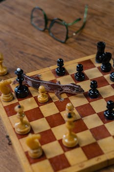 Autorahoitus Ilman Ajokorttia: Mahdollisuudet Ja Rajoitukset