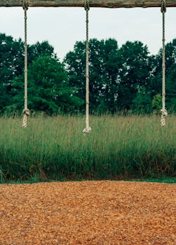 Luotettavat Pelisivustot: Parhaat Vinkit Ja Arvioinnit